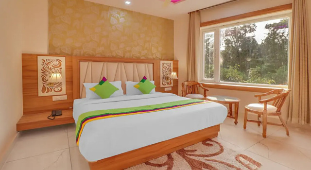 Номер Economy Treebo Royal Mirage, Bhoopatwala