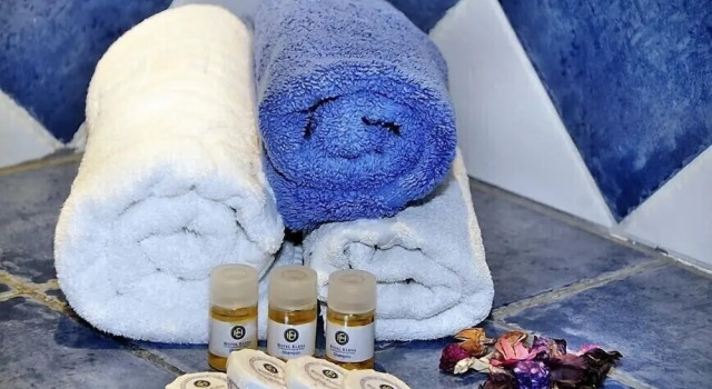 Одноместный номер Standard Hotel Elena