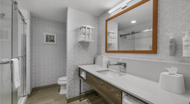 Standard Doppel Zimmer Hampton Inn & Suites By Hilton Decatur