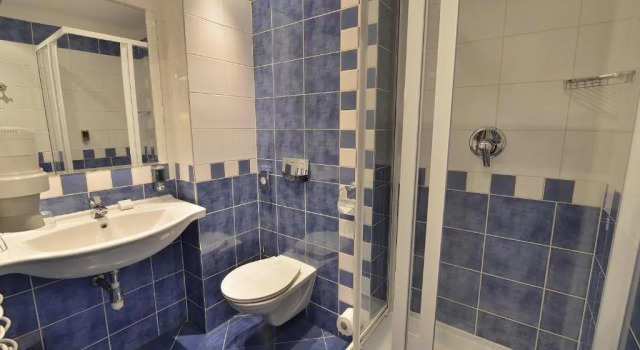 Camera singola Standard EA Hotel Jeleni Dvur Prague Castle