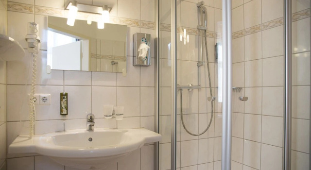 Номер Standard Hotel & Restaurant Waldschlösschen