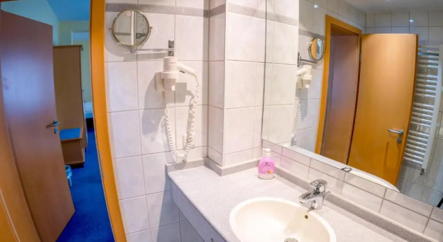Одноместный номер Standard Hotel Wilder Mann