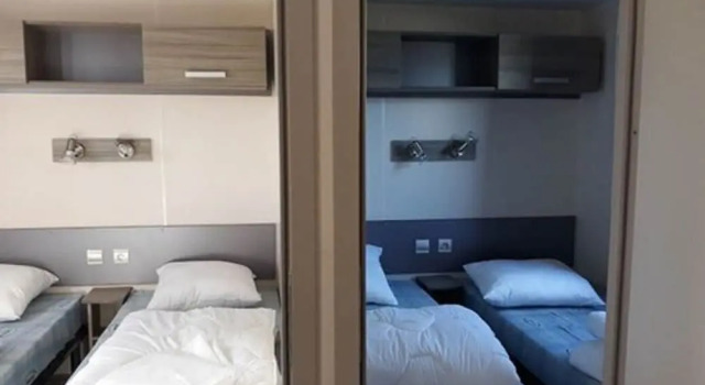 Vanneau huppé, Rezerwuj Hotel Quiberon 