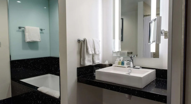 Двухместная Студия Люкс Radisson Blu Mall of America