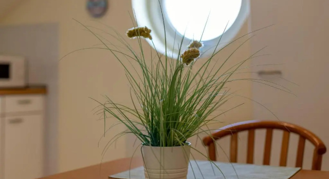 Апартаменты Lindenbuschen 2 Wohnung 7