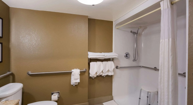 Двухместный люкс Comfort Suites Near University