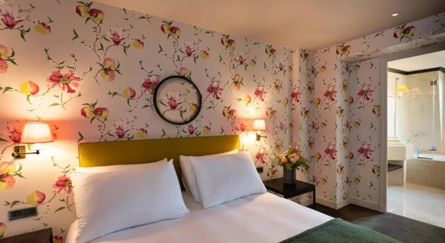 Двухместный номер Deluxe с балконом Hôtel du Danube Saint Germain