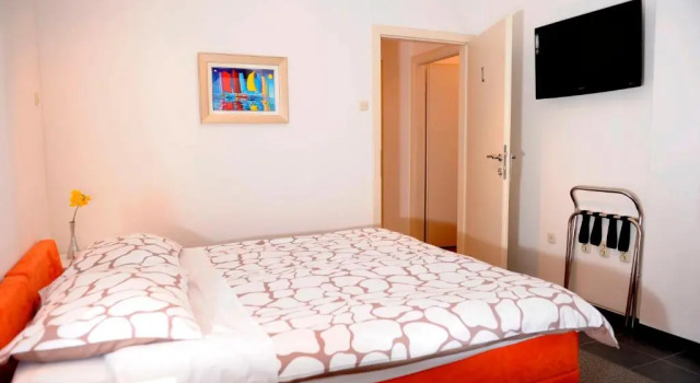 Blue Tree Rooms
