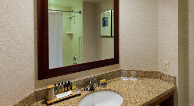 Четырёхместный номер Standard Denver Marriott South at Park Meadows