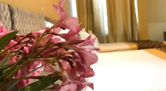 Семейный номер Standard Hotel Arifi