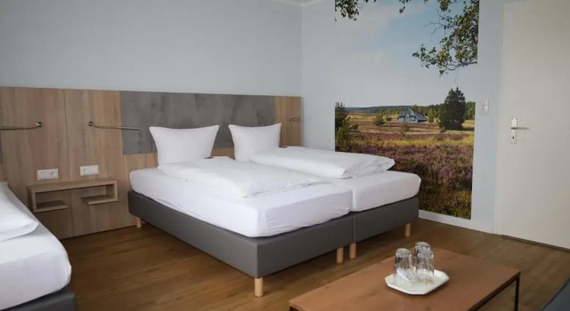 Трёхместный номер Standard Hotel-Pension Am Böhmepark