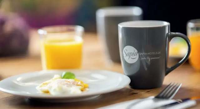 Одноместный люкс Sapia Hotel St. Fridolin