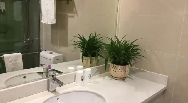 Двухместный номер Standard GreenTree Inn Zhongshan Fusha Town Hotel