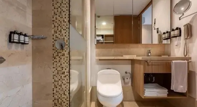 Двухместный полулюкс Estelar La Torre Suites