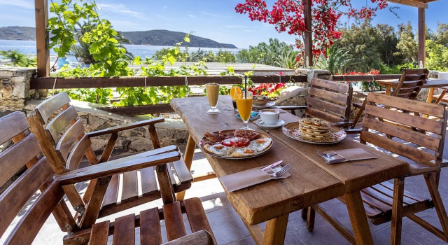 Одноместный люкс Deluxe Vassilia on the beach Serifos