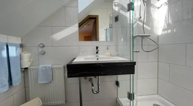Двухместный номер Standard ROTHSEE Hotel