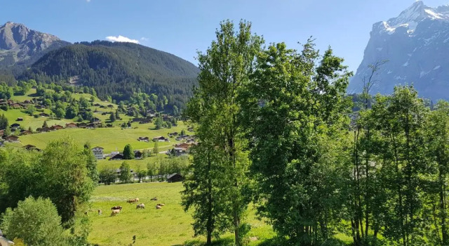 Апартаменты Chalet Bodenwald