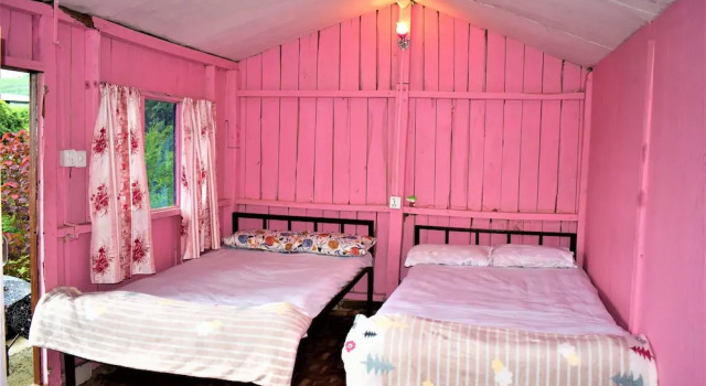 Номер Standard Jungle Crown Organic Homestay