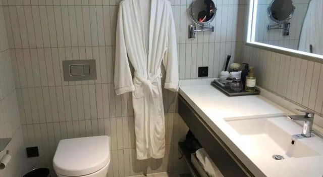 Двухместный номер Deluxe Citadines Lujiazui Shanghai Hotel