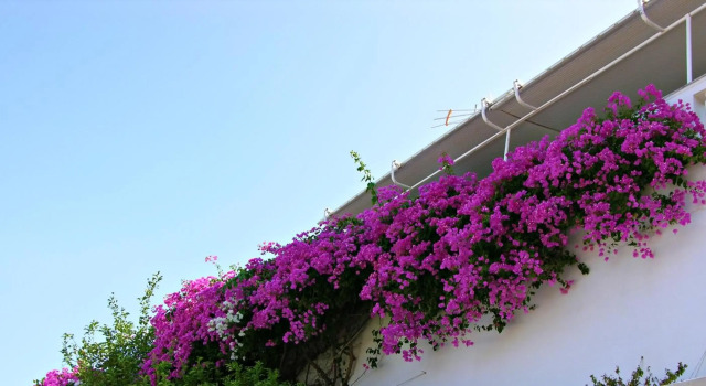 Panoramic Views Home in Hydra, Greece