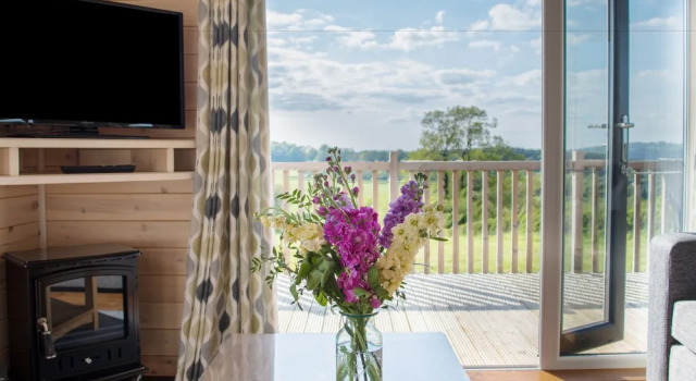 Moonrise Lodge - Swallow Lodge