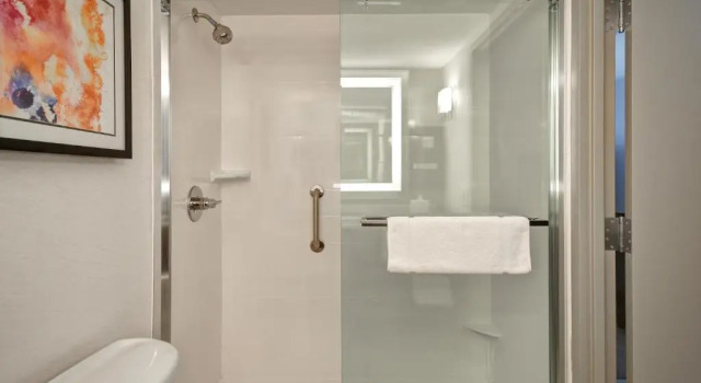 Двухместный номер Premium Hilton Garden Inn Detroit Metro Airport