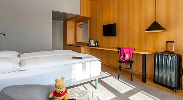 Номер Superior ibis Styles Graz Messe