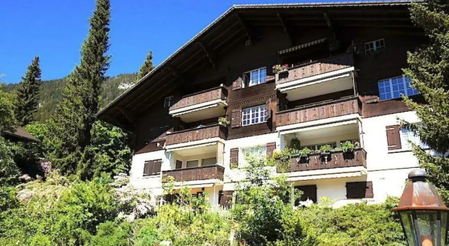 Rinderblick Zweisimmen