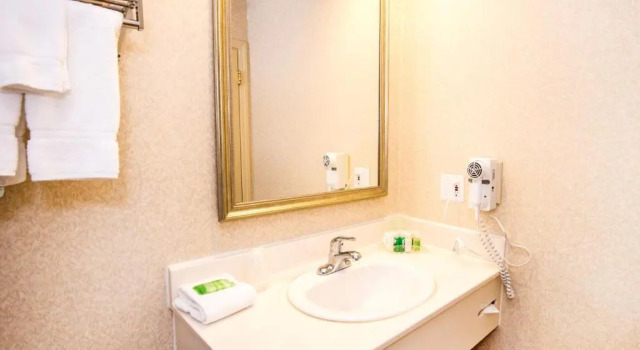 Люкс Holiday Inn Hinton by IHG