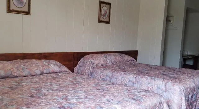Четырёхместный номер Standard Greenwell Motel