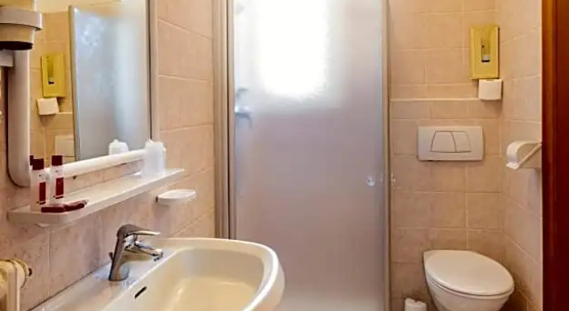 Номер Standard Hotel Stella Alpina