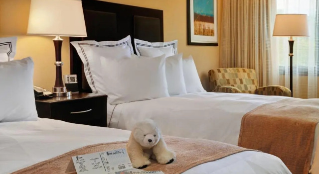 Четырёхместный номер Standard Radisson Hotel Freehold