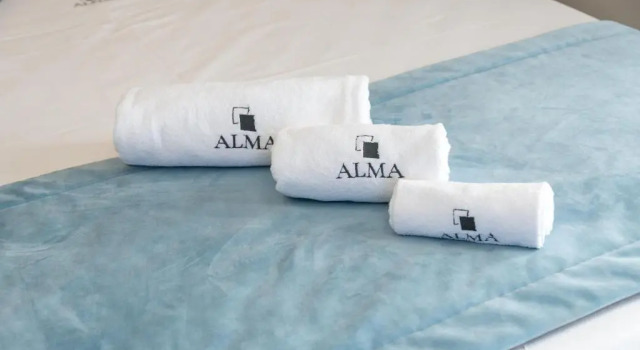 Номер Deluxe ALMA Bed & Breakfast