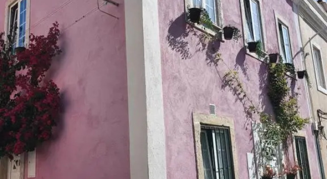 Casa Cor de Rosa