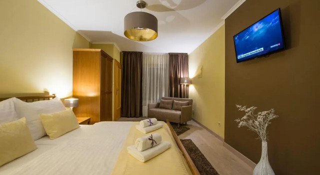 Двухместный номер Standard Wellness Penzión Vila Mery