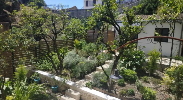 Апартаменты Corfu Pelekas Apartment 2