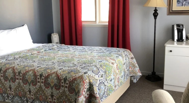 Двухместный номер Standard с видом на реку Hotel Le Pionnier