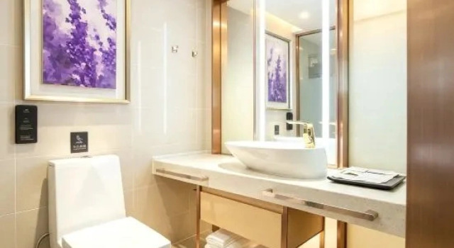 Номер Standard Lavande Hotel Dongguan Liaobu Center