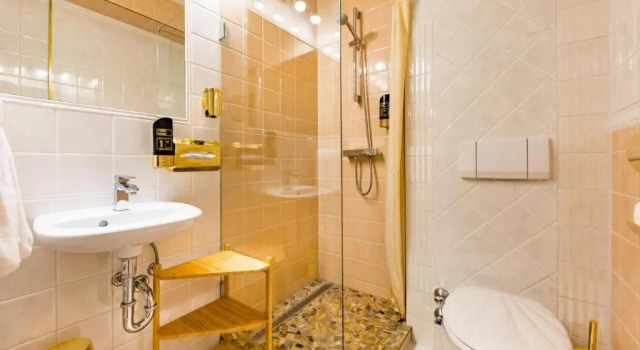 Номер Standard Hotel Freizeittempel