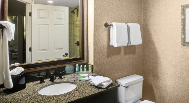 Люкс Holiday Inn Express Hotel & Suites Atlanta Buckhead by IHG