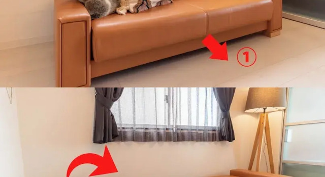 Апартаменты Comfort Bijou Suites Bloom