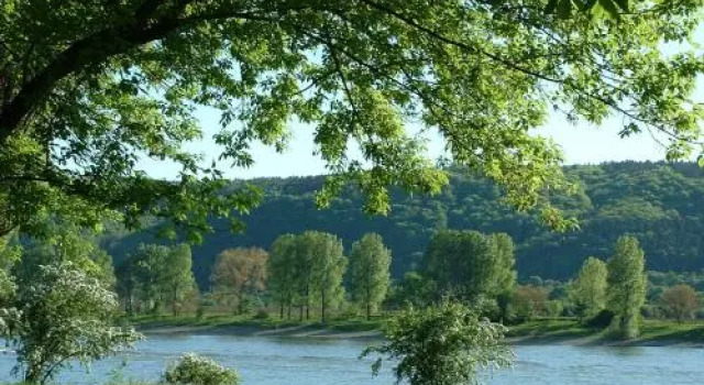 Zur Rheinschanz, Забронировать Отель Бад-Хённинген Westerwald, рядом с Kristall Rheinpark Therme