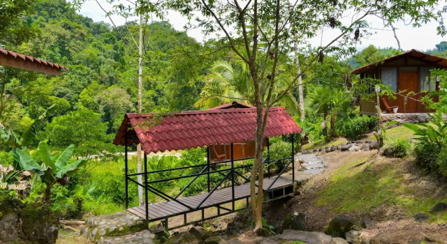 Бунгало с видом на реку Pacuare River Lodge