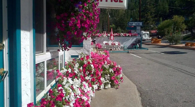 Двухместный номер Standard AppleTree Inn