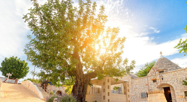 Navolte Trulli e Quiete