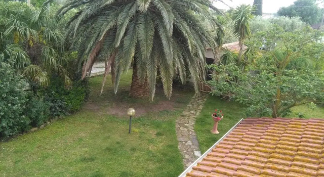 Номер Standard La Palma