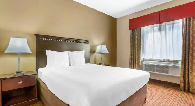 Двухместный номер Standard Comfort Inn Phoenix Central City