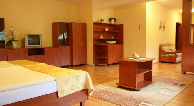 Hotel Ambra, Забронировать Отель Отели Лугачовице 4 звезды, 4*