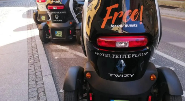 Номер Economy Hotel Petite Fleur