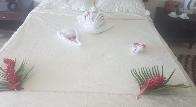Номер Deluxe Puataukanave International Hotel